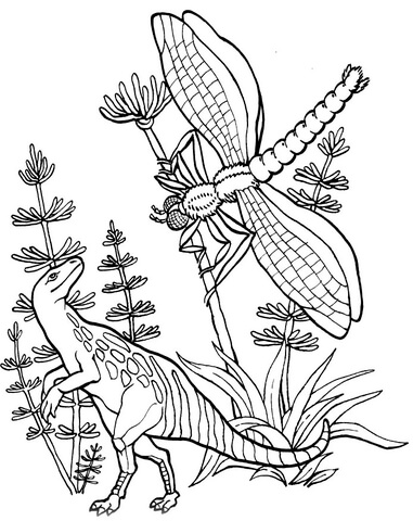 Compsognatus And Meganeura Coloring Page